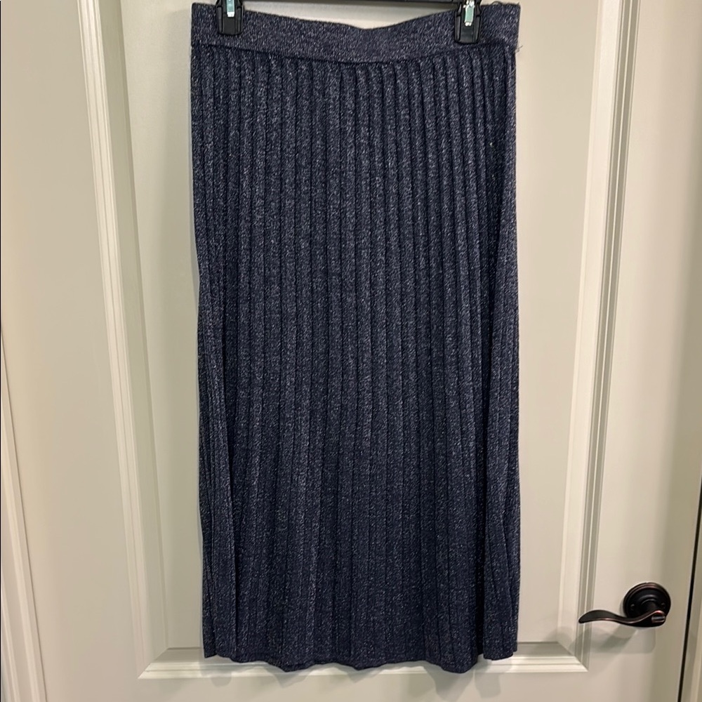 Banana Republic Glitter Pleated Skirt